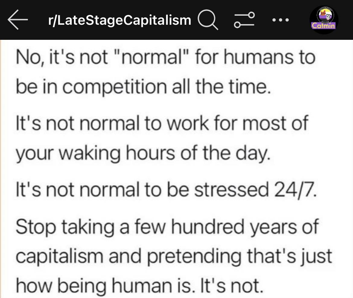 The meme is a humorous commentary on the concept of "capitalism" in a modern, absurd context. The text reads: "In a world where the only way to win is to lose everything, I have lost everything."